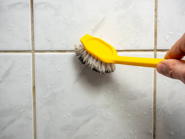 Best Toxic Mold Removal  in Glenwood, GA