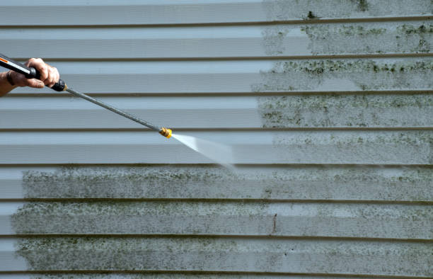 Best Local Mold Removal Service  in Glenwood, GA