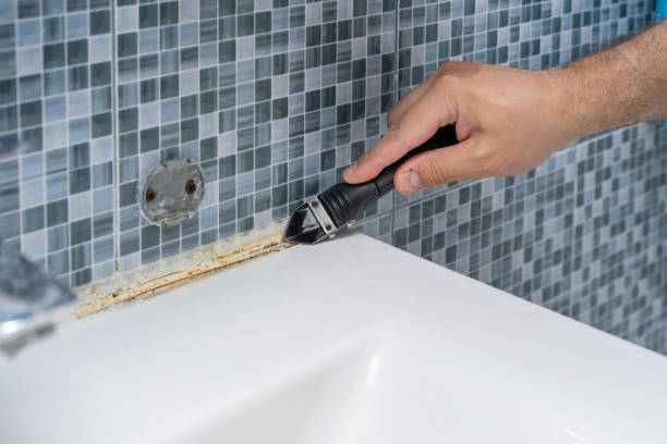 Best Certified Mold Removal  in Glenwood, GA