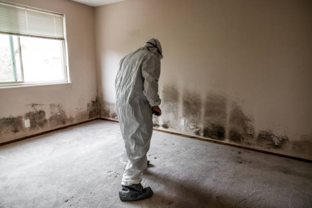 Best Residential Mold Removal  in Glenwood, GA