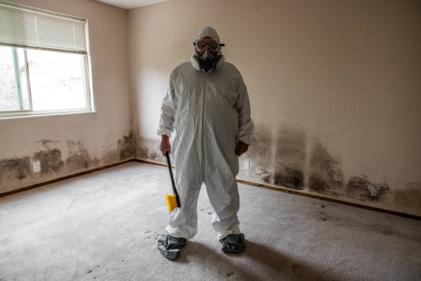 Mold Removal Process in Glenwood, GA